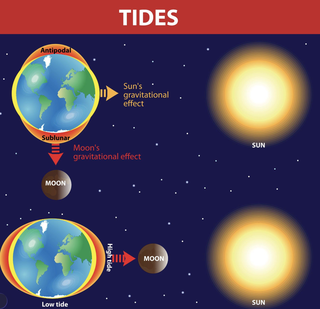 Understanding Tides and Currents Before You Leave